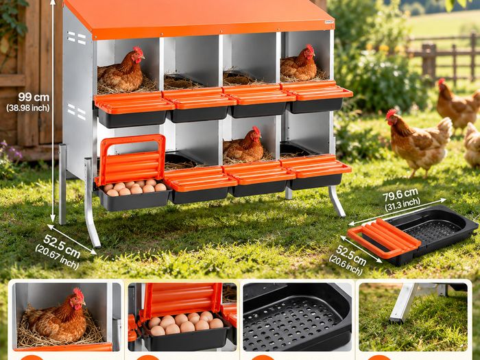 Chicken Nesting Boxes with 8 Compartments and Support Legs  Roll Away Egg Collection System