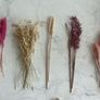 Decorative Dried flowers for events. Image 2