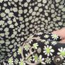 Bimba Y Lola Dress Image 3