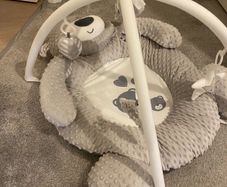 Babyzee Bear Necessities Play Gym