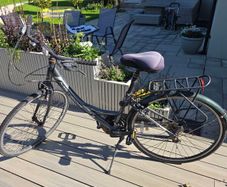 ladies bicycle