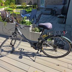 ladies bicycle