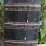 Antique Holy Bible Douay Version Image 2