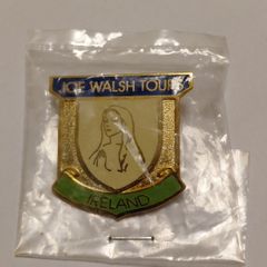 Rare Vintage Banamak Joe Walsh Tours Religious Enamel Pin Mint Condition