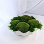 Handmade home deco-  preserved moss Image 2