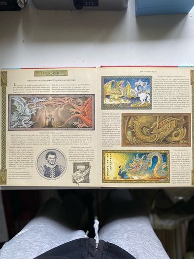 Dragonology:The complete book of Dragons