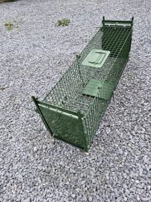Animal Humane Trap Double Door Feral cats