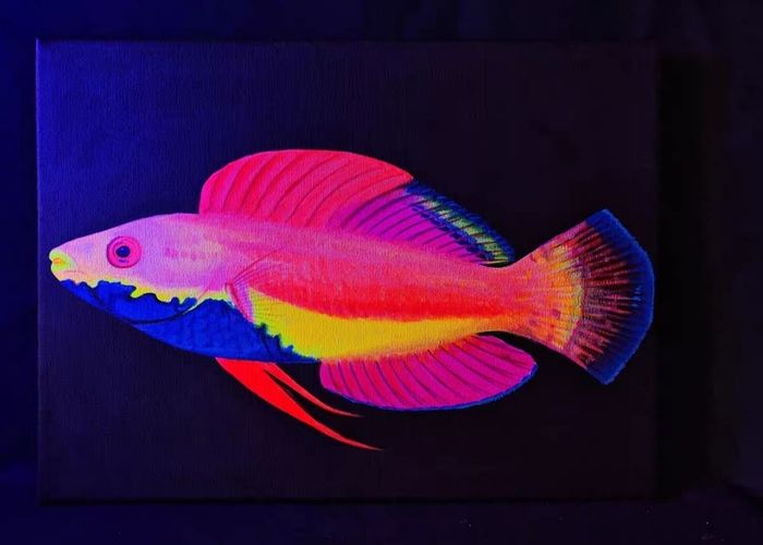 UV Blacklight Coral Reef Wall Art Painting