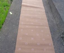 Wool Carpet for Sale