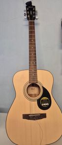 Cort Acoustic Guitar