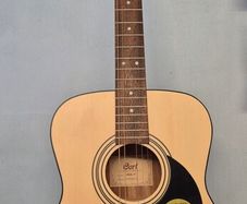 Cort Acoustic Guitar