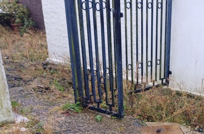 wrought iron fence and gate