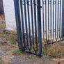 wrought iron fence and gate Image 2
