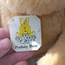 pudsey bear children in need bear Image 3