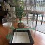 bird cage - for small birds Image 2