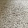 Shaggy Cream Rug Image 2