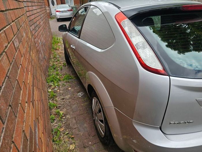 focus van