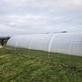 The  Classic Greenhouse Image 2