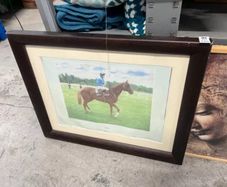 Racehorse picture