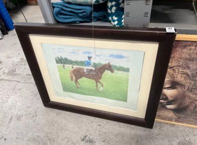 Racehorse picture