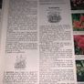 Reader's Digest Encyclopaedia of Garden Plants and Flowers Hardcover - 1993 Image 6