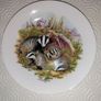 Finsbury Bone China Badgers Plate Image 3
