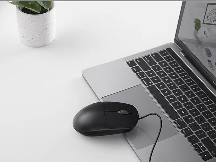 Rapoo N100c Wired Optical Mouse Type - Black