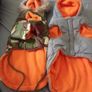 Dog accessories bundle Image 5