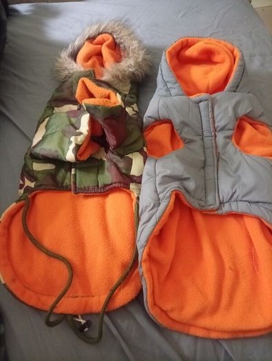Dog accessories bundle