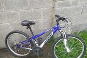 Bike for free 24''