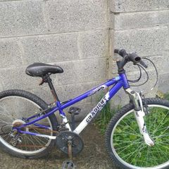 Bike for free 24''