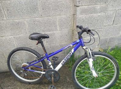 Bike for free 24''