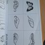 Sequencing texts by Prim Ed x3 Image 5
