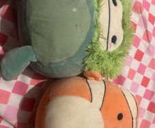 Squishmallow teddies