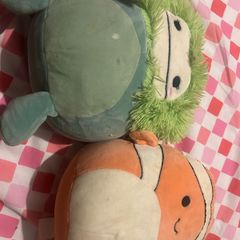 Squishmallow teddies