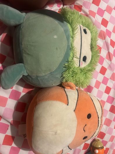 Squishmallow teddies