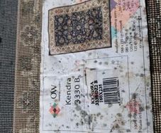 carpet