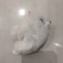 Secret Life of Pets - Gidget Image 2