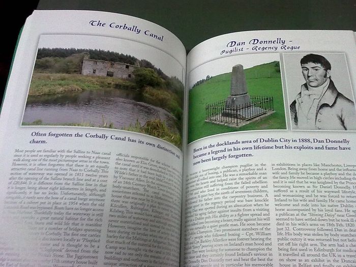 Nas na Riogh Ireland Irish Naas Kildare local history Signed