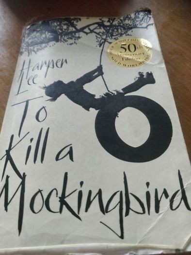 Junior Cert English novel.