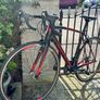 Specialized Allez Race Image 6