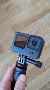 go pro