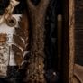 The Forgotten Curator Curators Tray No 1 of 30 Oddity Curiosity Collection Image 3