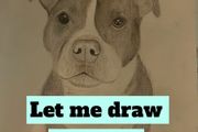 pet painting