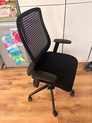NV Ergonomic Posture Office Chair