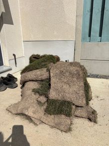 Lawn turf rolls