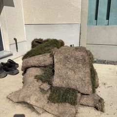 Lawn turf rolls