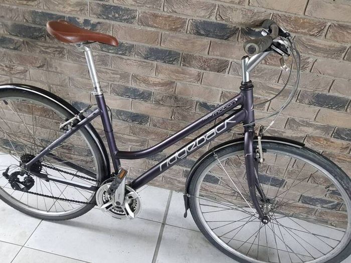ladies bike( can deliver)