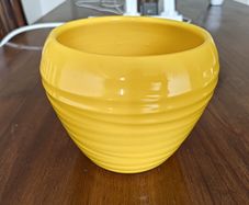 plant pot