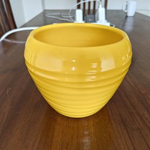 plant pot